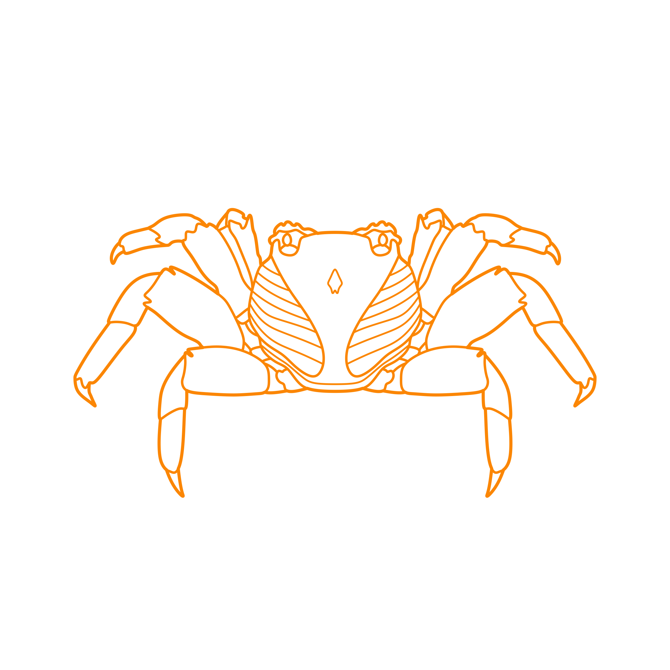 Animals Crustaceans Red Rock Crab Outline Icon Svg Set Free Vectors